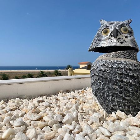 Vivienda Gorrion Lejlighed Morro Jable  Eksteriør billede